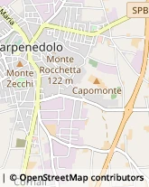 Via Achille Pozzi, 17,25013Carpenedolo