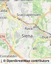 Agenti e Rappresentanti di Commercio,53100Siena