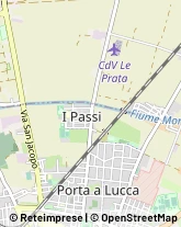 Via G. Paolo Gamerra, 13,56123Pisa