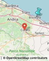 Articoli Sportivi - Dettaglio,76011Barletta-Andria-Trani