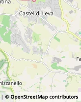 Via Paolo della Celia, 80,00134Roma