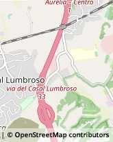 Vicolo del Casale Lumbroso, 20,00166Roma