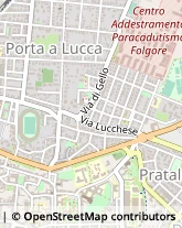 Idraulici e Lattonieri,56123Pisa