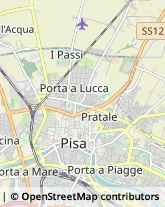 Podologia - Studi e Centri,56126Pisa