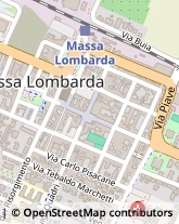 Via Vittorio Veneto, 72,48024Massa Lombarda