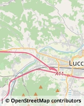 Via delle Tagliate Prima, 231,55100Lucca