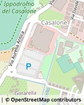 Centri di Benessere,58100Grosseto