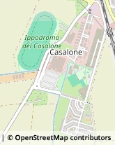 Articoli da Regalo - Dettaglio,58100Grosseto