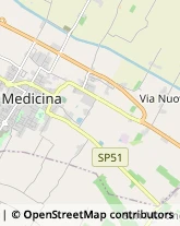 Via Resistenza, 178,40059Medicina