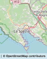 Autonoleggio,19020La Spezia