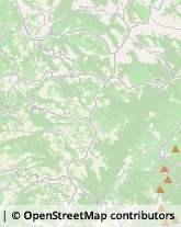 Articoli da Regalo - Dettaglio,12050Cuneo