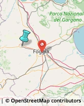 Consulenze Speciali,71036Foggia