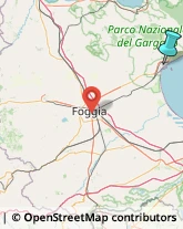 Consulenze Speciali,71043Foggia