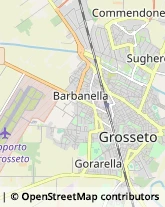 Agenti e Rappresentanti di Commercio,58100Grosseto