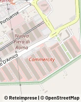 Via Portuense, 1555,00148Roma