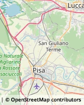 Via S. Martino, 77,56100Pisa