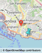 Palestre e Centri Fitness,16145Genova