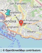 Calzature su Misura,16124Genova