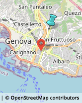 Palestre e Centri Fitness,16142Genova