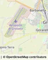 Via Orcagna, 43,58100Grosseto