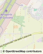 Aziende Agricole,58100Grosseto