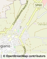 Via San Giorgio, 5/I,70019Triggiano