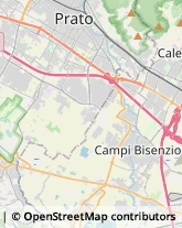 Via Carraia, 50,50017Campi Bisenzio