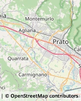 Ricami - Dettaglio,51039Pistoia