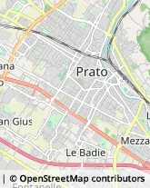 Palestre e Centri Fitness,59100Prato