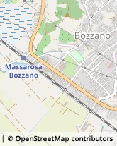 Via Sarzanese Sud, 1572,55054Massarosa