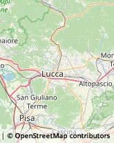 Via Lucchese, 28,51017Pescia