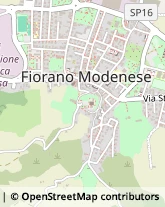 Via Giuseppe Malmusi, 62/D,41042Fiorano Modenese