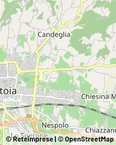 Via di Sant'Agostino, 47,51100Pistoia