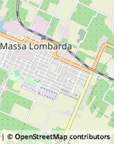 Via Venceslao Baravelli, 9,48024Massa Lombarda