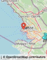 Estetiste,34018Trieste