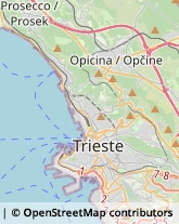 Largo San Tommaso, 5,34100Trieste