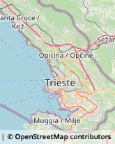 Vernici, Smalti e Colori - Vendita,34146Trieste