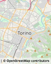 Tricologia - Studi e Centri,10129Torino