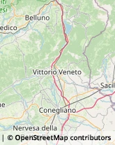 Via Felice Cavallotti, 84,31015Conegliano