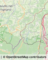 Aziende Agricole,41055Modena