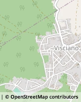 Via Giuseppe Garibaldi, 2,80030Visciano