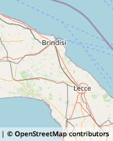 Aziende Sanitarie Locali (ASL),72023Brindisi