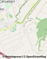 Via Passo di Palo, 8,00052Cerveteri