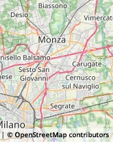 Via Comune Antico, 19,12025Milano