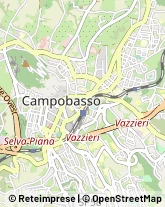 Via Umberto I, 47,86100Campobasso