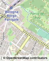 Via E.Ponente, 345,40138Bologna