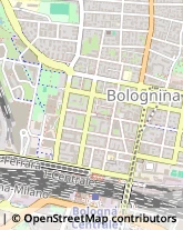 Via Luigi Serra, 7,40129Bologna