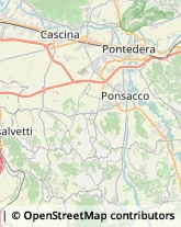 Associazioni Sindacali,56040Pisa