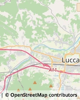 Istituti di Bellezza,55100Lucca