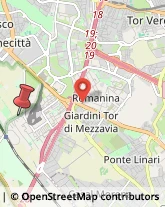 Via delle Capannelle, 134,00178Roma